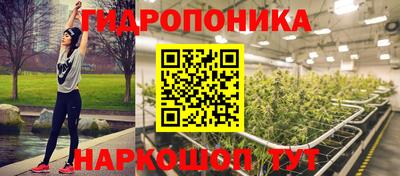 сатива Будённовск