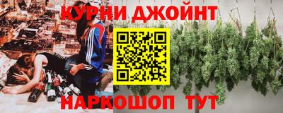 сатива Будённовск