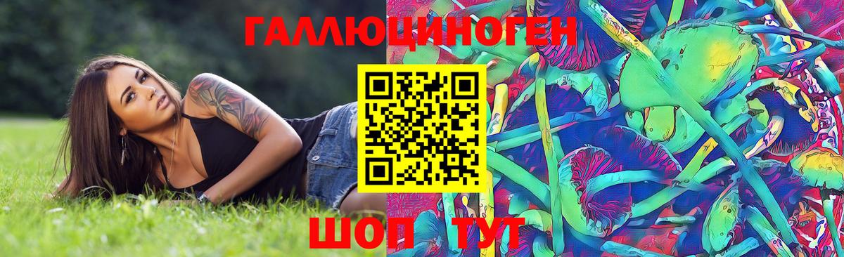 Галлюциногенные грибы Psilocybine cubensis  где купить   Чебаркуль  Вход с VPN 