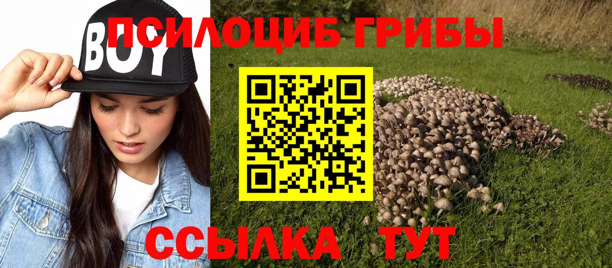 Галлюциногенные грибы мухоморы Чебаркуль